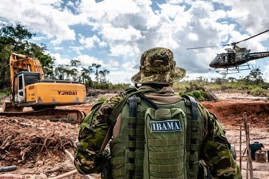 Conheça os órgãos responsáveis pelo meio ambiente no Brasil e quais os seus papéis na fiscalização