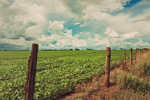 Como regularizar um imóvel rural