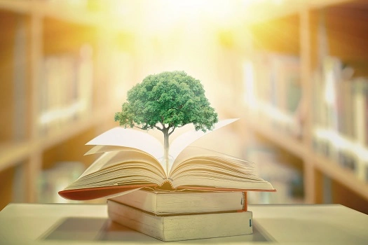 Livros de meio ambiente e sustentabilidade para os amantes da natureza