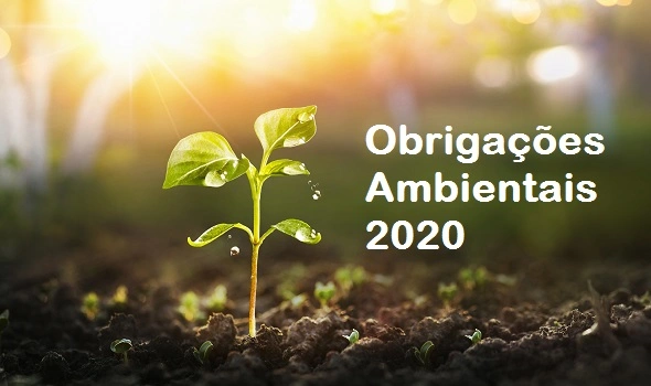 Obrigações ambientais em 2020