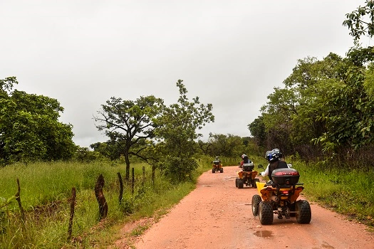 Turismo rural e ecoturismo em Minas Gerais: os melhores destinos