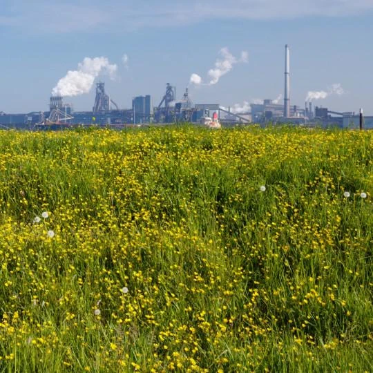 Empresa de licença ambiental